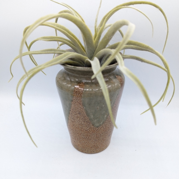 Turn and Burn Pottery Seagrove NC D. Triece Vase - Picture 8 of 9